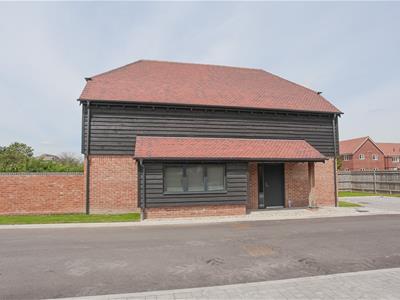 Picture 27